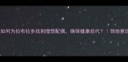 科学配种指南如何为拉布拉多找到理想配偶确保健康后代领地意识与性格匹配全