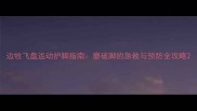 边牧飞盘运动护脚指南磨破脚的急救与预防全攻略
