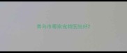 青岛市哪家宠物医院好
