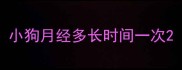 小狗月经多长时间一次
