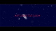 如何让边牧耳朵立起来