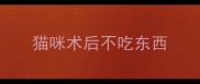 猫咪术后不吃东西