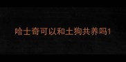 哈士奇可以和土狗共养吗