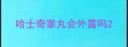 哈士奇睾丸会外露吗