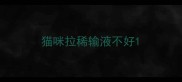 猫咪拉稀输液不好