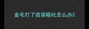 金毛打了疫苗呕吐怎么办