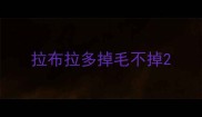 拉布拉多掉毛不掉