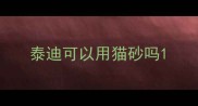 泰迪可以用猫砂吗