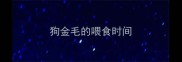 狗金毛的喂食时间