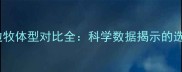 苏牧与边牧体型对比全科学数据揭示的选购指南