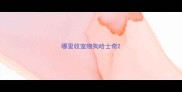 哪里收宠物狗哈士奇
