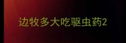边牧多大吃驱虫药