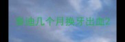 泰迪几个月换牙出血