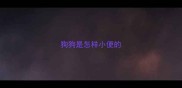 狗狗是怎样小便的