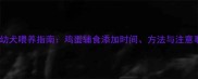 边牧幼犬喂养指南鸡蛋辅食添加时间方法与注意事项