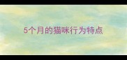 5个月的猫咪行为特点