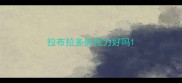 拉布拉多的视力好吗