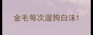 金毛每次遛狗白沫