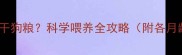 狗狗多大能吃干狗粮科学喂养全攻略附各月龄喂食指南