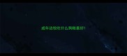 成年边牧吃什么狗粮最好