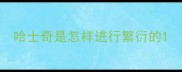 哈士奇是怎样进行繁衍的
