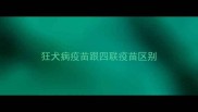 狂犬病疫苗跟四联疫苗区别