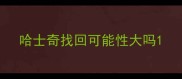 哈士奇找回可能性大吗