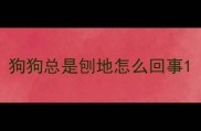 狗狗总是刨地怎么回事
