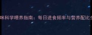 猫咪科学喂养指南每日进食频率与营养配比全