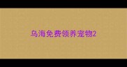 乌海免费领养宠物