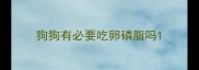 狗狗有必要吃卵磷脂吗