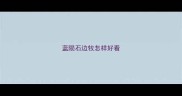 蓝陨石边牧怎样好看