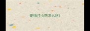 宠物打虫药怎么吃