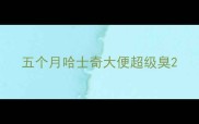 五个月哈士奇大便超级臭