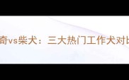萨摩耶vs哈士奇vs柴犬三大热门工作犬对比与饲养指南