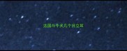 法国斗牛犬几个月立耳