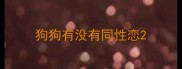 狗狗有没有同性恋