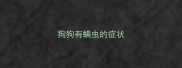 狗狗有螨虫的症状