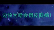 边牧为啥会得皮肤病