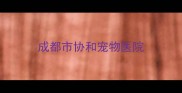 成都市协和宠物医院