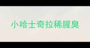 小哈士奇拉稀腥臭