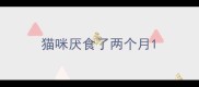 猫咪厌食了两个月