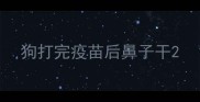 狗打完疫苗后鼻子干