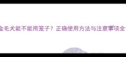 金毛犬能不能用笼子正确使用方法与注意事项全