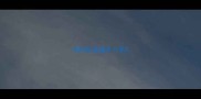 拉布拉多腿外八字