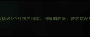 阿拉斯加雪橇犬5个月喂养指南狗粮消耗量营养搭配与成长建议