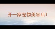 开一家宠物美容店