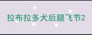 拉布拉多犬后腿飞节