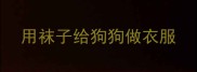 用袜子给狗狗做衣服