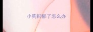小狗抑郁了怎么办